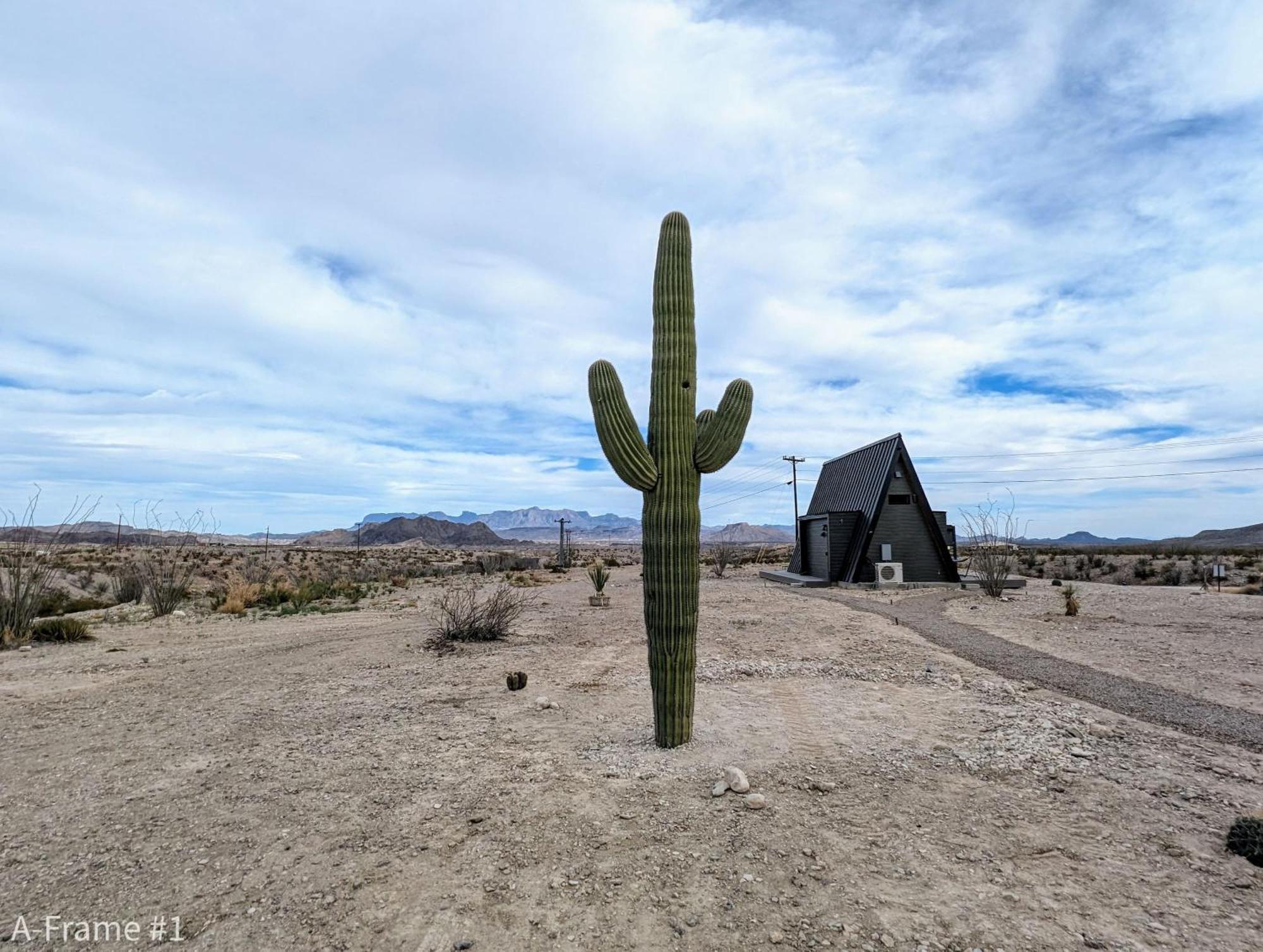 Stardust Big Bend Luxury A-Frame#5 Great Views Villa Terlingua Exteriör bild